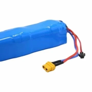 Electric Scooter Lithium Battery best