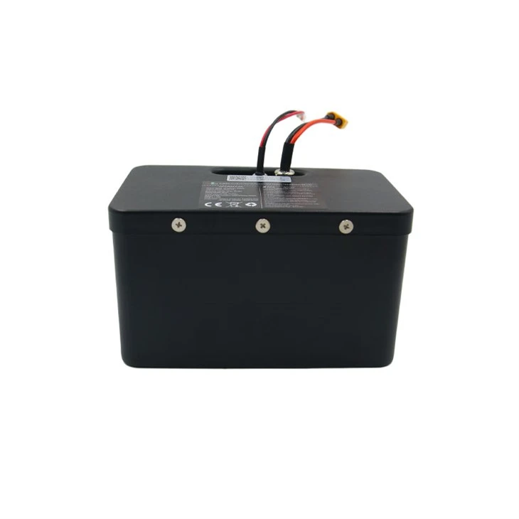 Kids Ride-on Car Lithium Battery